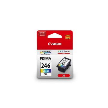 Picture of Canon 8280B001AA (CL-246XL) High Yield Black Inkjet Cartridge